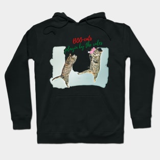 Boo-cats, playin' by the rules Hoodie